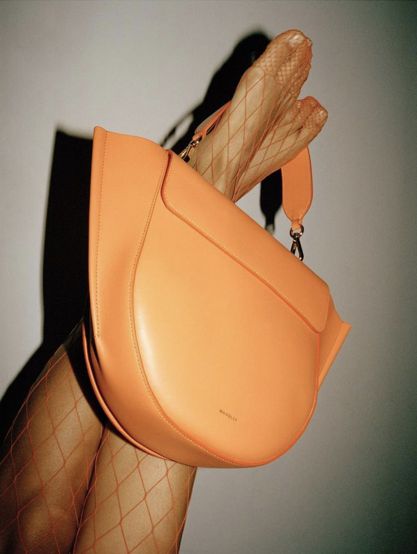 Bolso wandler que llevó Lady Gaga